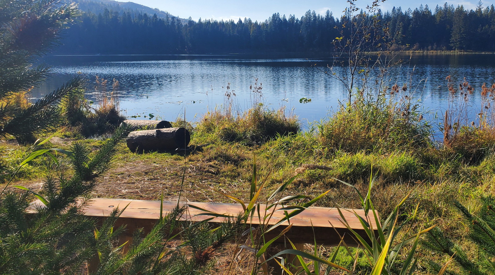 Escape the Stress: How Geocaching Can Help You Find Relief