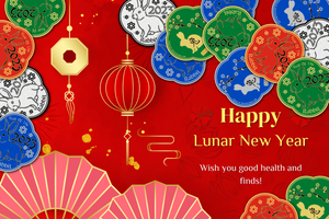 Year of the Rabbit Micro Puzzle