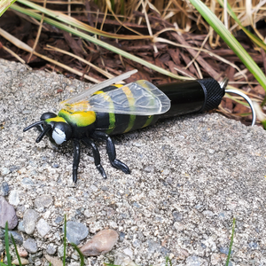 Micro Bug Geocache