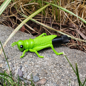 Micro Bug Geocache