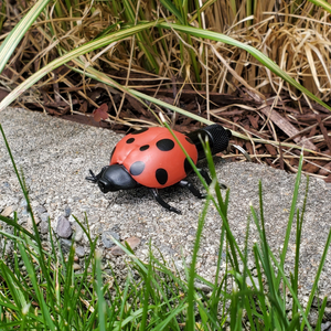 Micro Bug Geocache