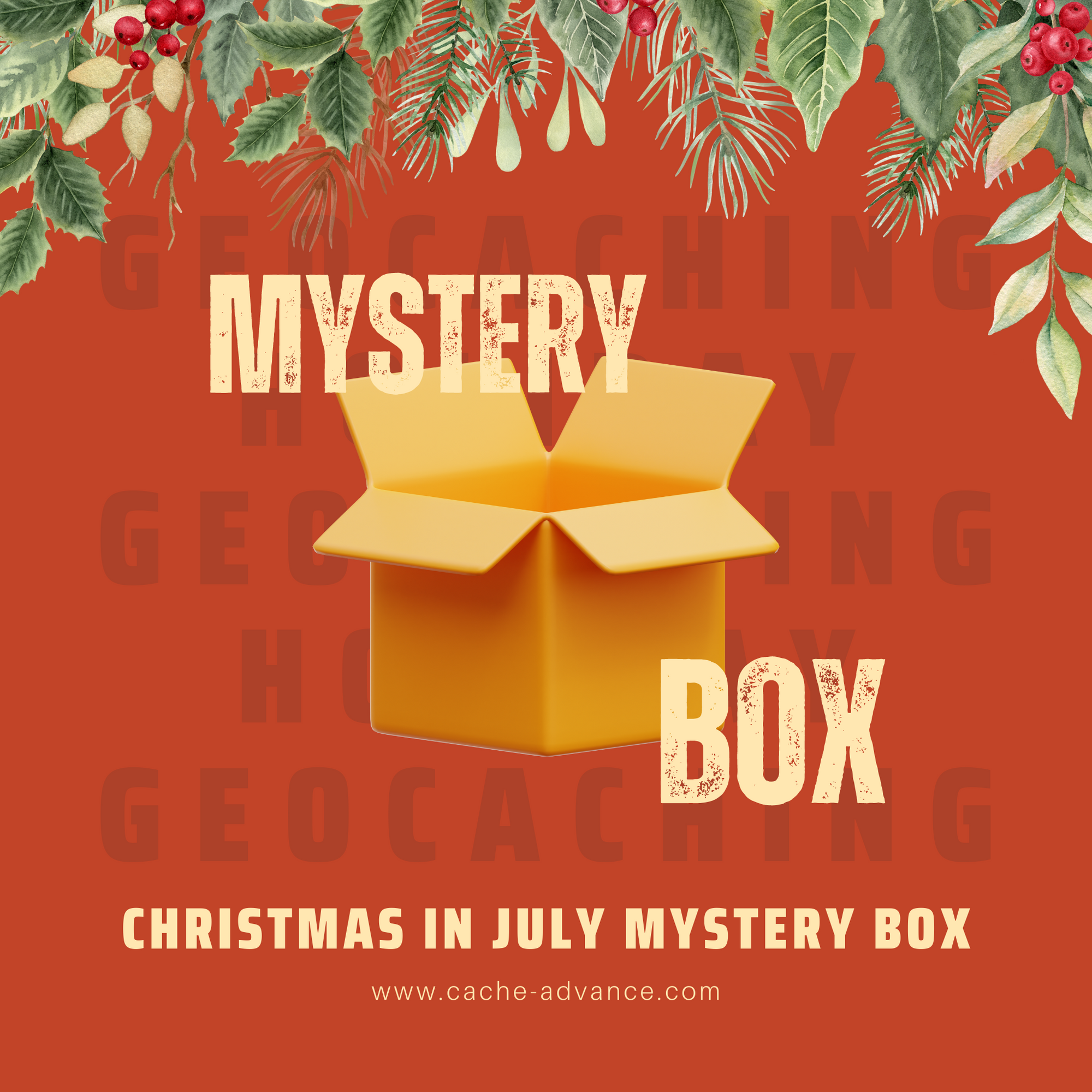 Christmas in July Mystery Box