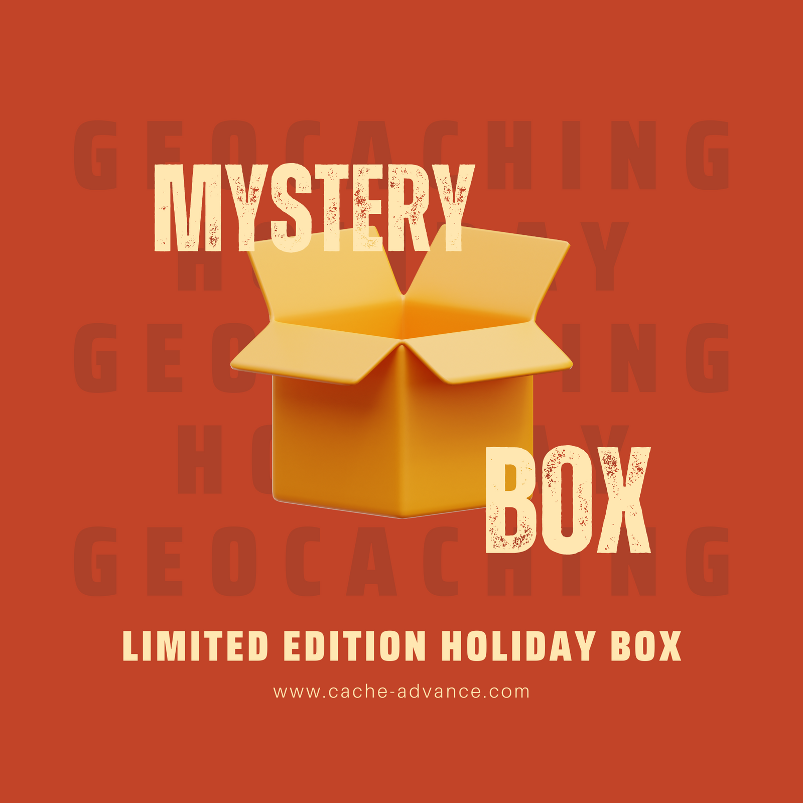 Holiday Mystery Box